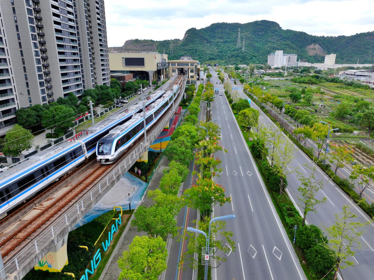 温州大道的“民生温度”:铺就龙湾宜居新图景