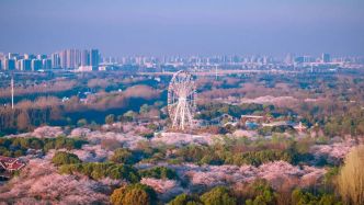 產(chǎn)業(yè)發(fā)展向高向新，上海寶山如何打造轉(zhuǎn)型樣本？