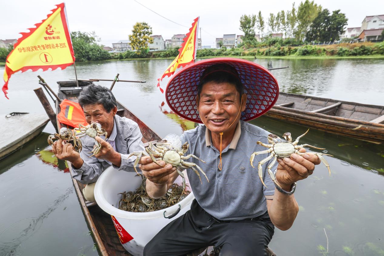 “蟹”逅新风口:当涂螃蟹的市场突围密码