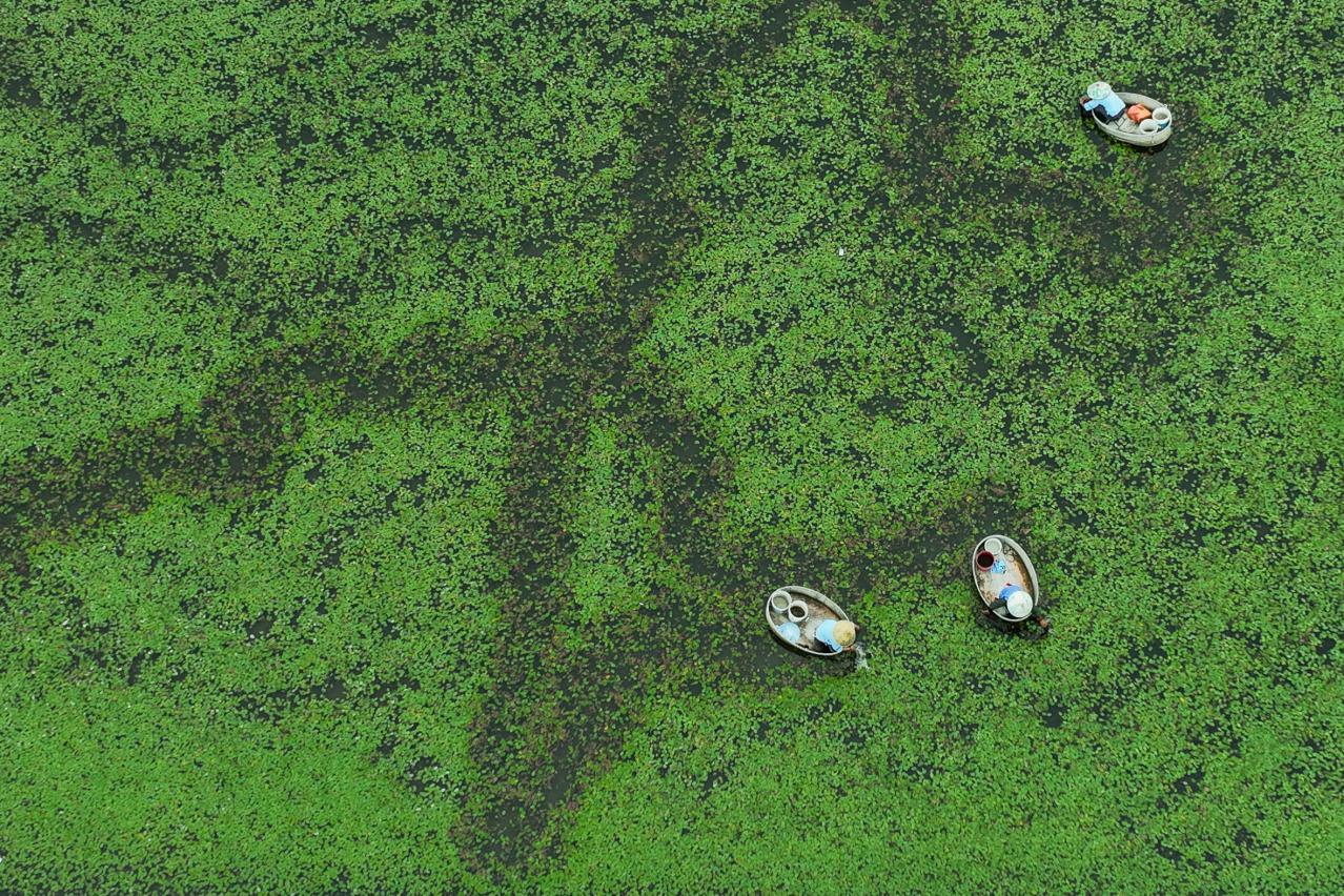 浙粤寻鲜，风味的流转