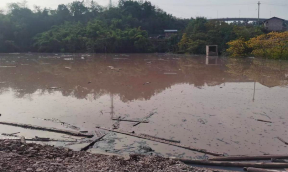 重庆渝北弃土场坍塌3死2伤续:村支书被开除党籍、三公司共被罚370万元