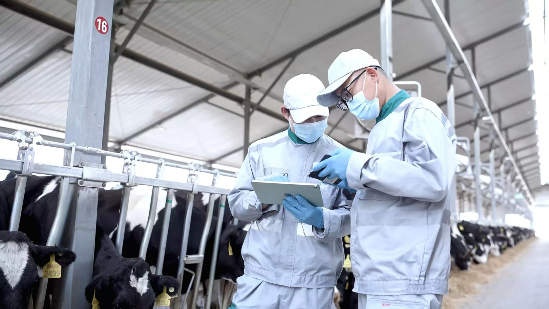 “全勤生”伊利八赴进博之约谱写从追赶到超越的共赢篇章