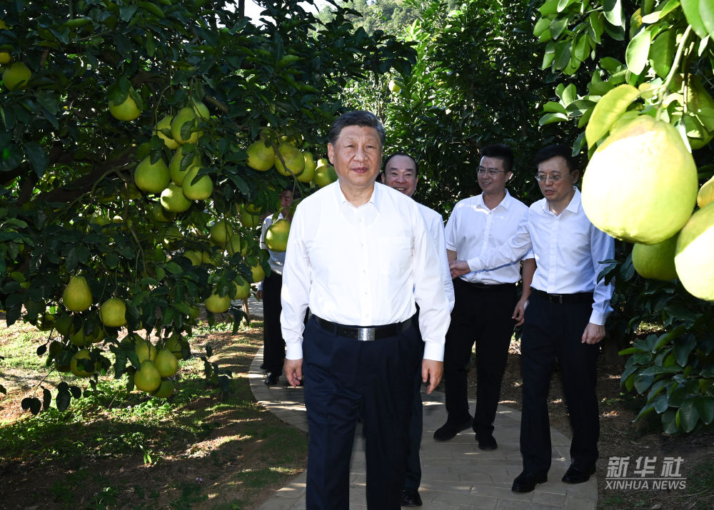 a0573444 b4ab 4bb6 995a cf075e3c7e45