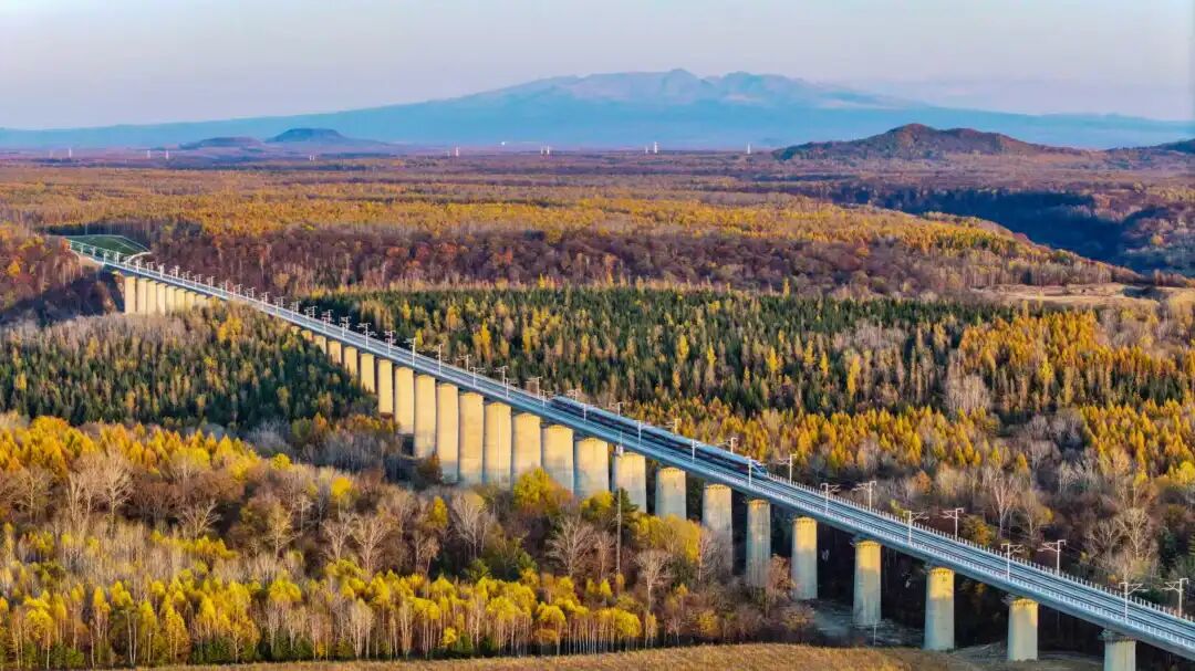 火车票打折力度加大!最低4折,涉及1300余趟动车组列车