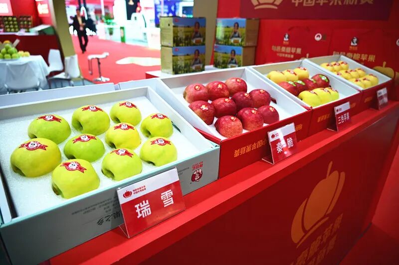 旬邑秦脆苹果亮相第十八届亚洲果蔬产业博览会暨第三届苹果产业博览会