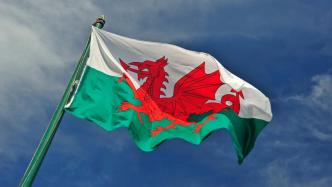 滬游簡報(bào)｜英國游戲行業(yè)呼吁更多政策支持