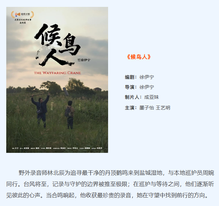 构建“NICE盐城·短剧之城”,江苏盐城即将亮相本届金鸡百花电影节