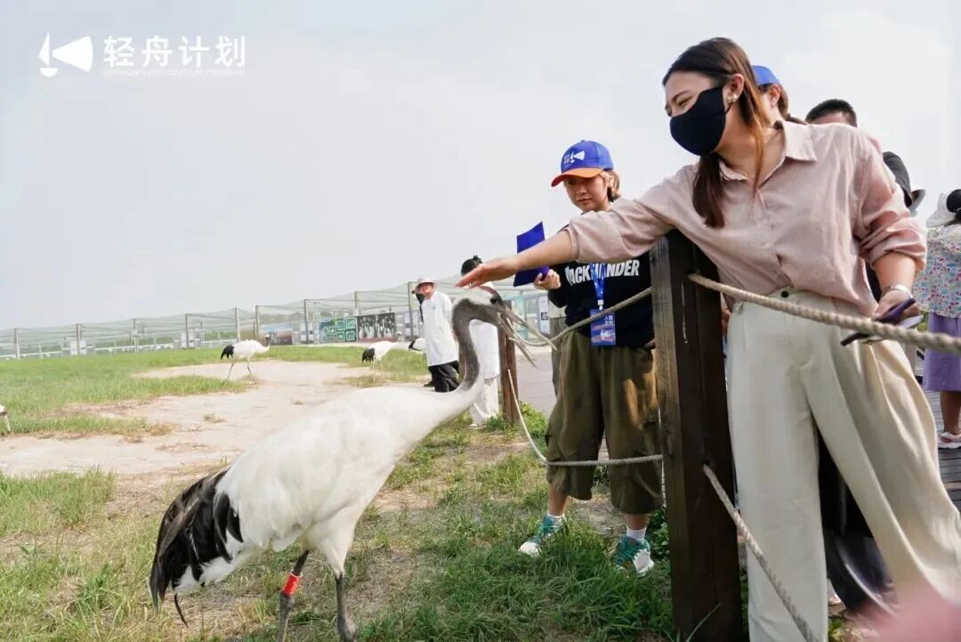 构建“NICE盐城·短剧之城”,江苏盐城即将亮相本届金鸡百花电影节