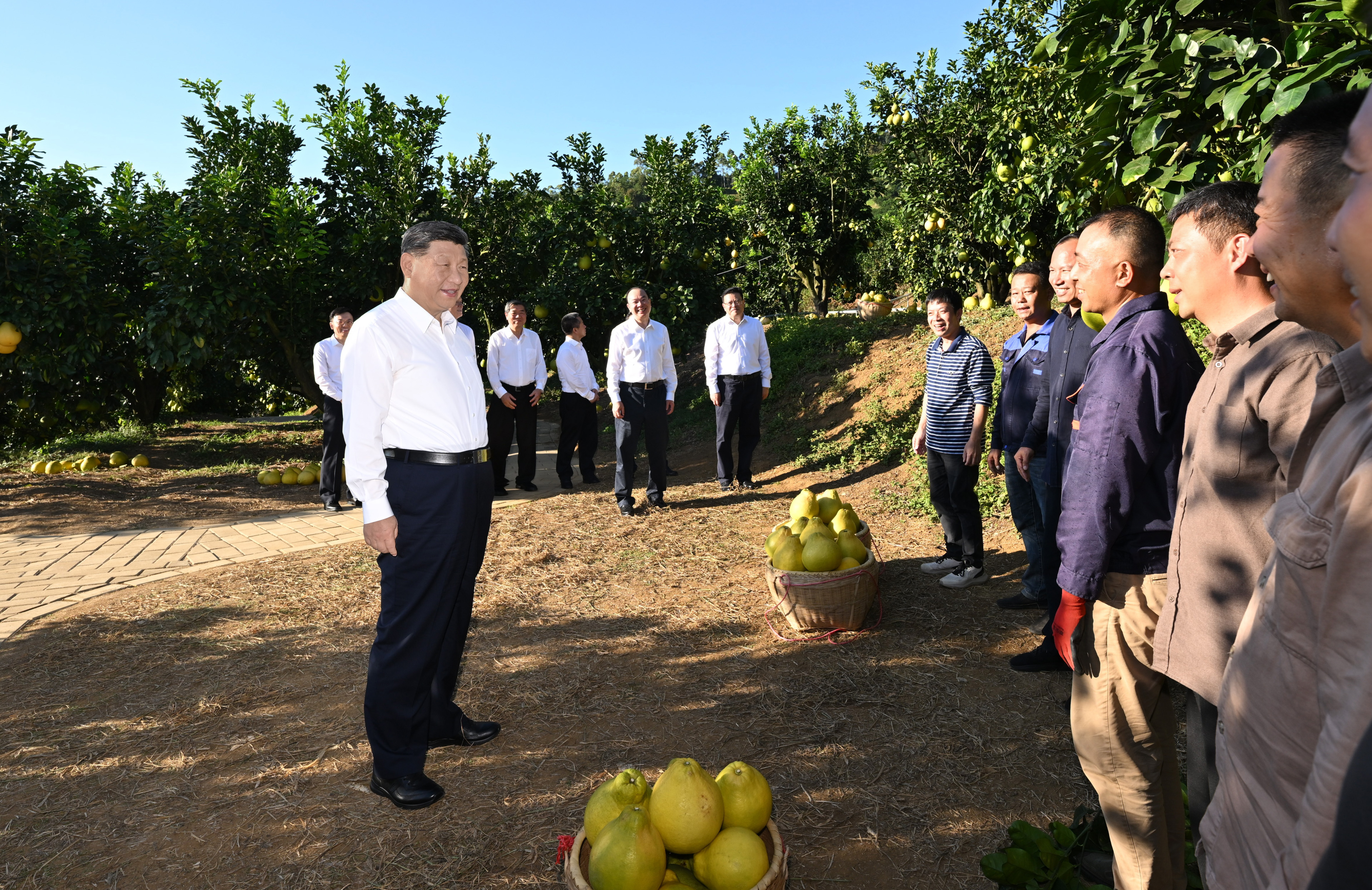 d6712ed7 f6d0 4962 b692 986e39c10dc9