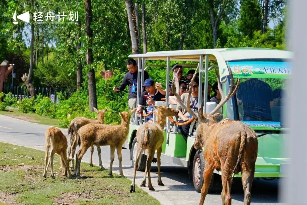 构建“NICE盐城·短剧之城”,江苏盐城即将亮相本届金鸡百花电影节