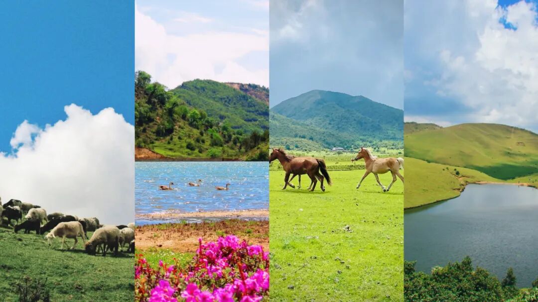 大理鸟吊山保护区能徒步吗?洱源县:出于生态保护和安全考虑,禁止游客进入