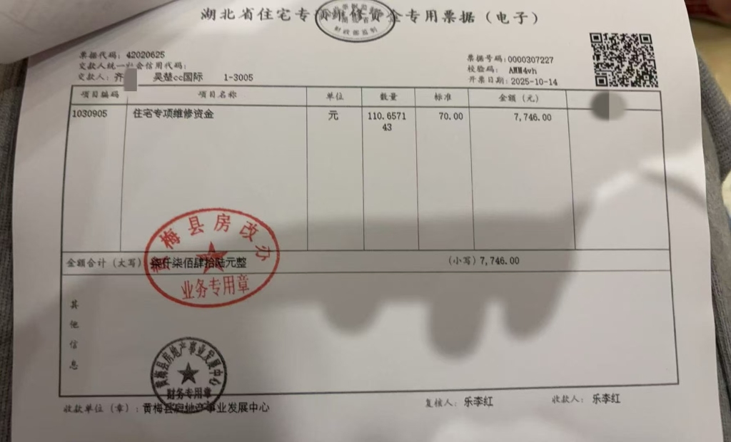 影子调查|85套法拍房办证难背后:部分购房者先遇烂尾,筹款自救后又遭法拍