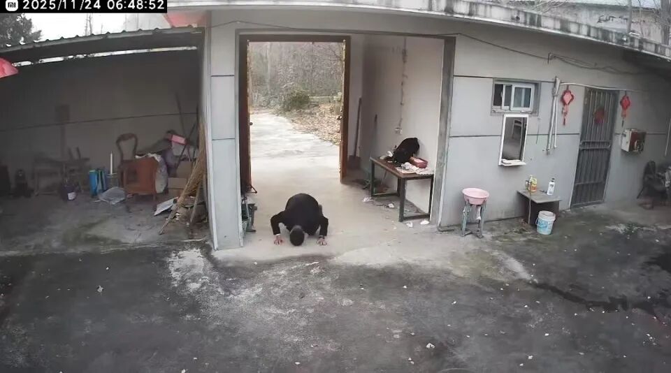 d64b6e42 fd01 45f7 9ef0 a9d37e7ba3d3