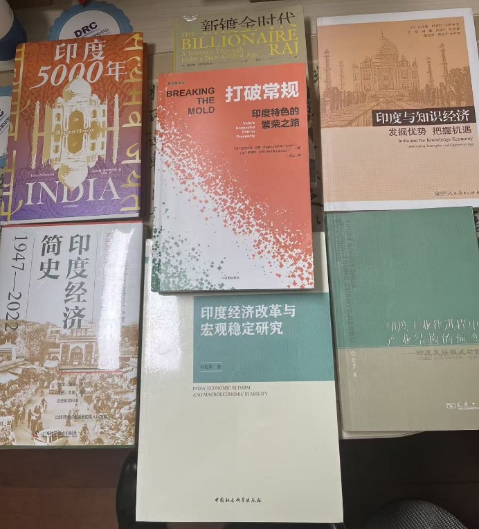 停滞与繁荣：打破常规的印度式赶超之路