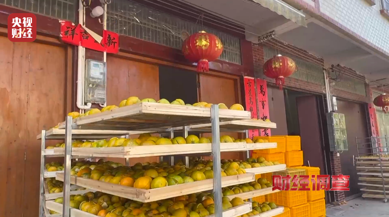 产地造假、年份速成、无视监管!央视曝光新会陈皮市场乱象