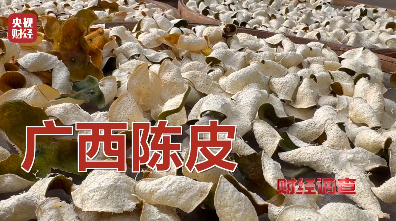 产地造假、年份速成、无视监管!央视曝光新会陈皮市场乱象