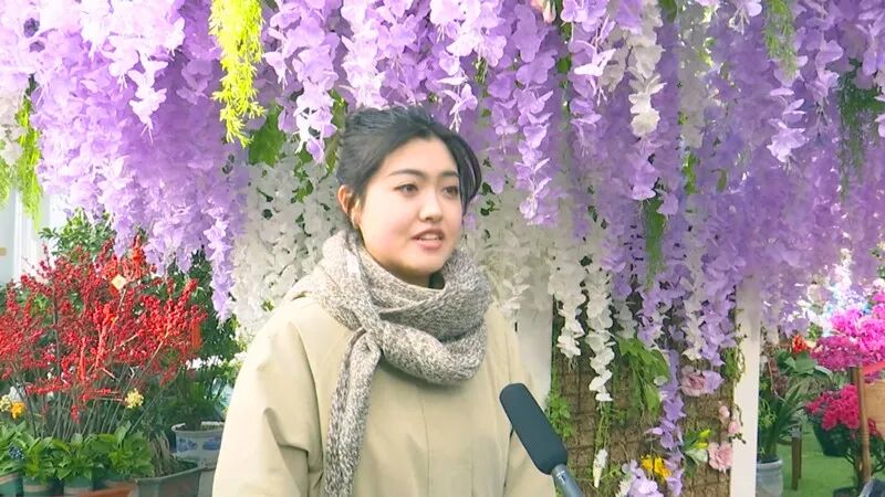 山海醉团圆 秦皇岛上过大年丨赏花游激活冬季旅游新生态
