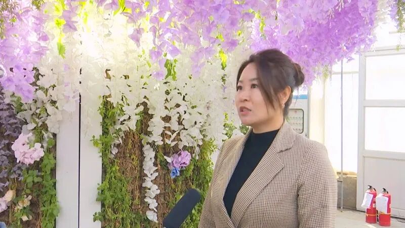 山海醉团圆 秦皇岛上过大年丨赏花游激活冬季旅游新生态