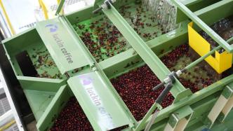 兩會首提“供應(yīng)鏈跨境布局”，瑞幸先行“鏈”通全球