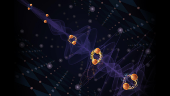 颜宁团队、薛其坤-陈卓昱团队分别发布重大科研成果