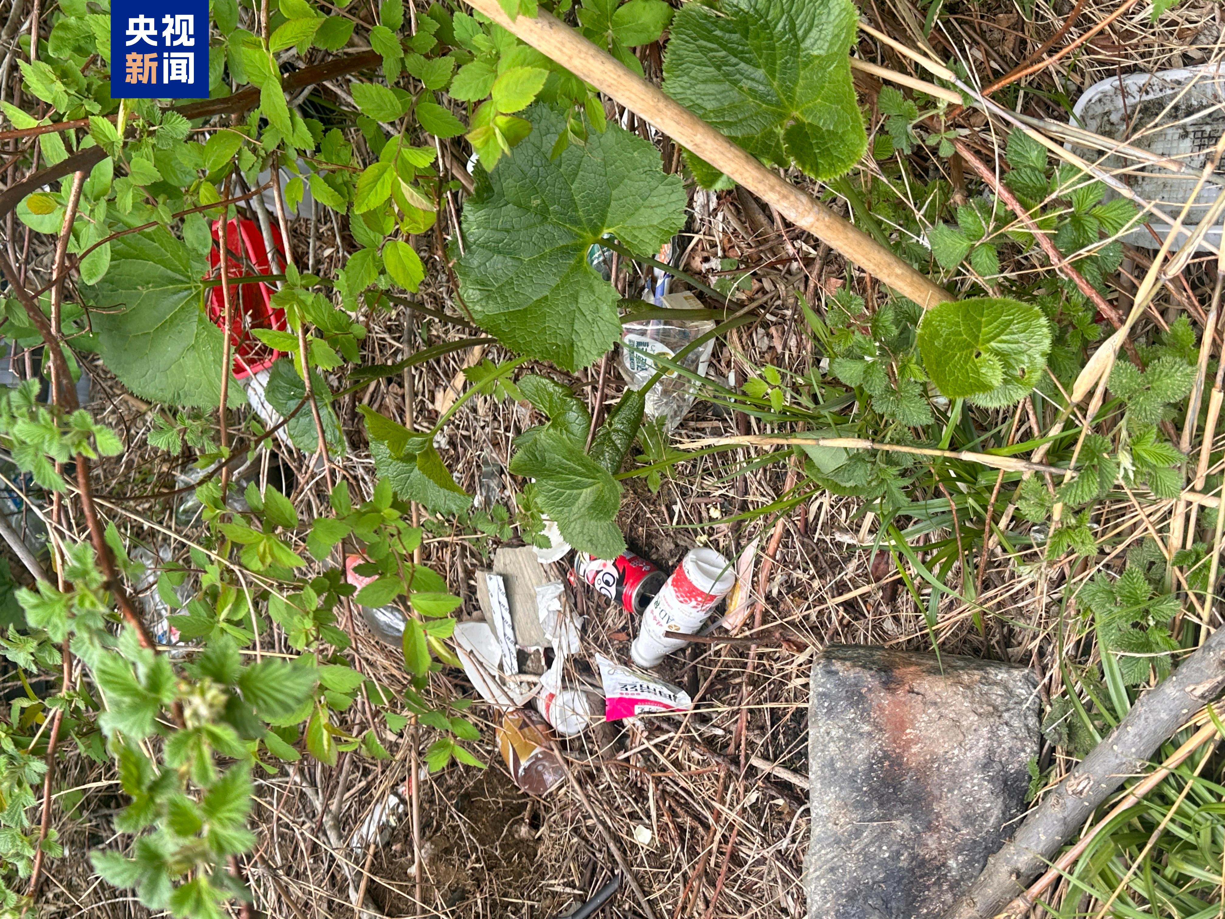 别被小众徒步、采菌帖误导,20余人违规进入苍山被依法查处