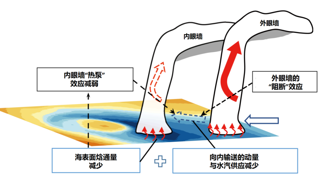 台风“白海豚”,凭什么浇透小半个中国?