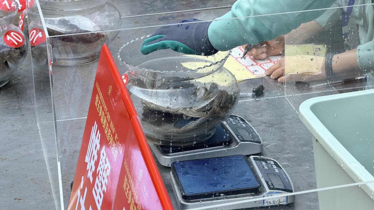 第九个中国农民丰收节辽宁城乡群众庆祝丰收联欢暨金秋消费季启动活动在盘锦启幕