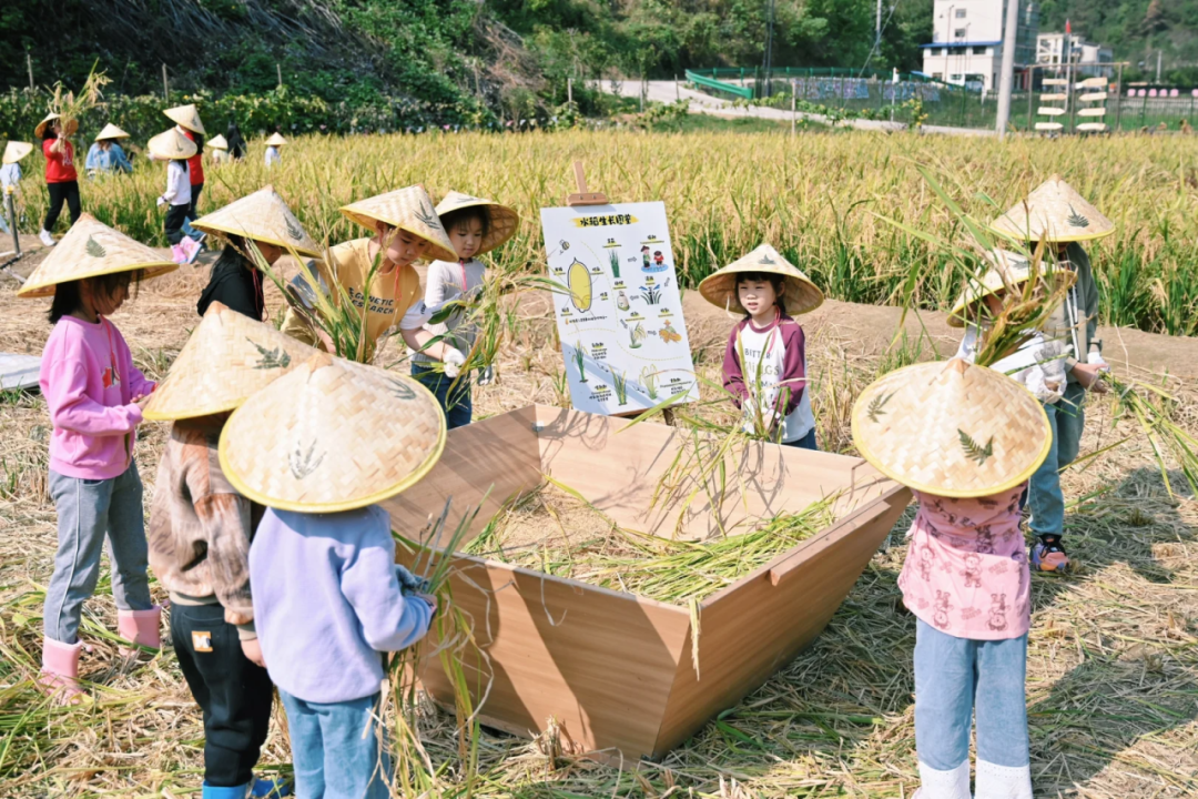茶山栗海 · 山野拾秋|国庆假期亭城文旅双民宿邀你进山入野
