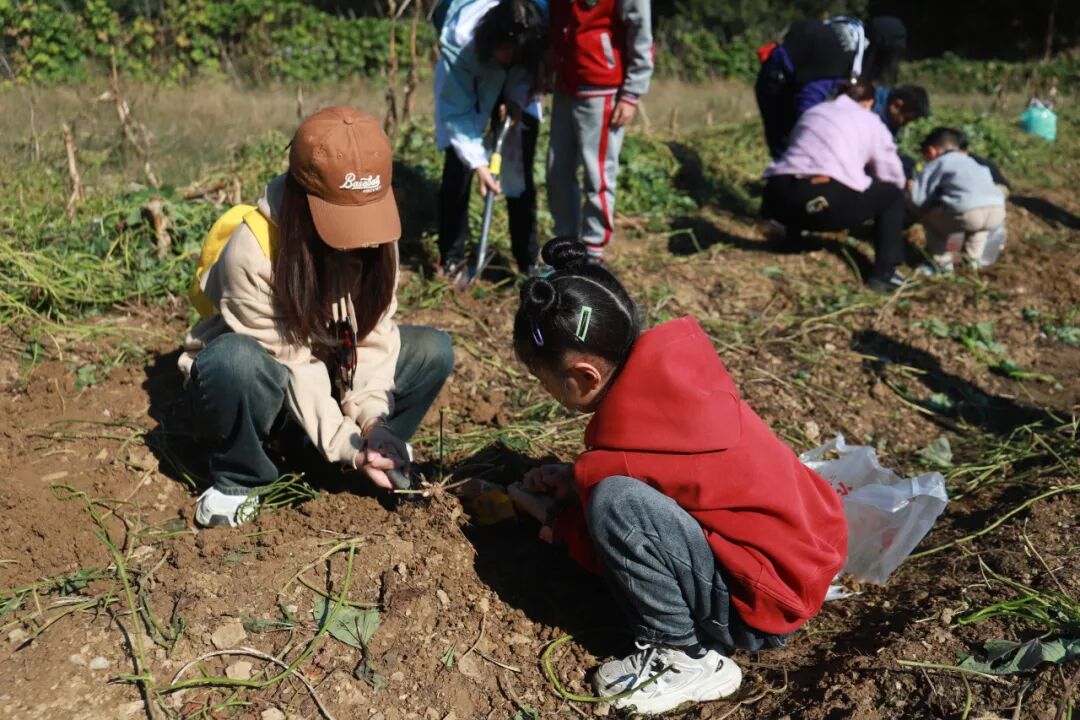 茶山栗海 · 山野拾秋|国庆假期亭城文旅双民宿邀你进山入野