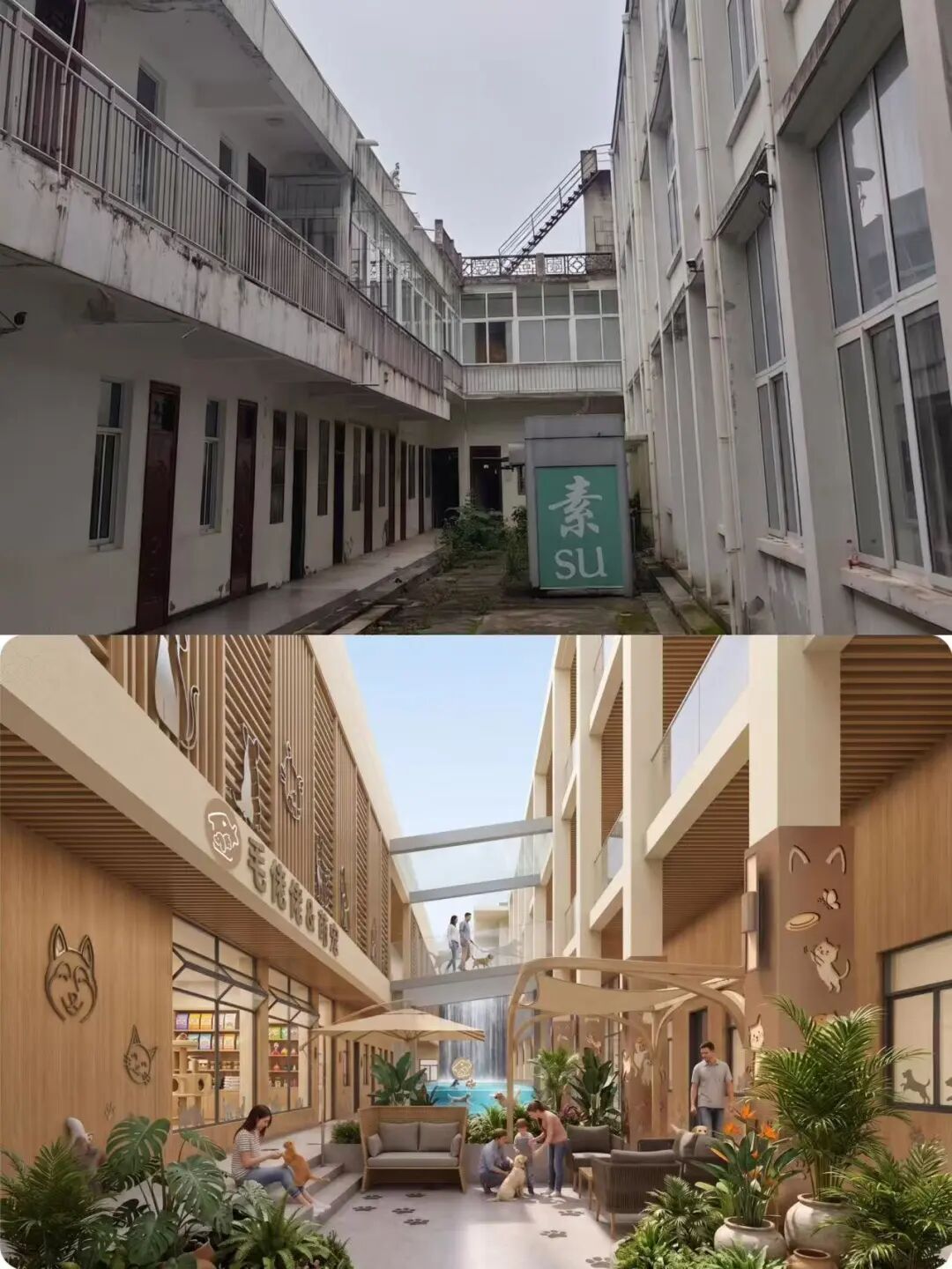 亭城文旅焕新城市记忆|天长路闲置办公楼即将变身宠物主题新地标