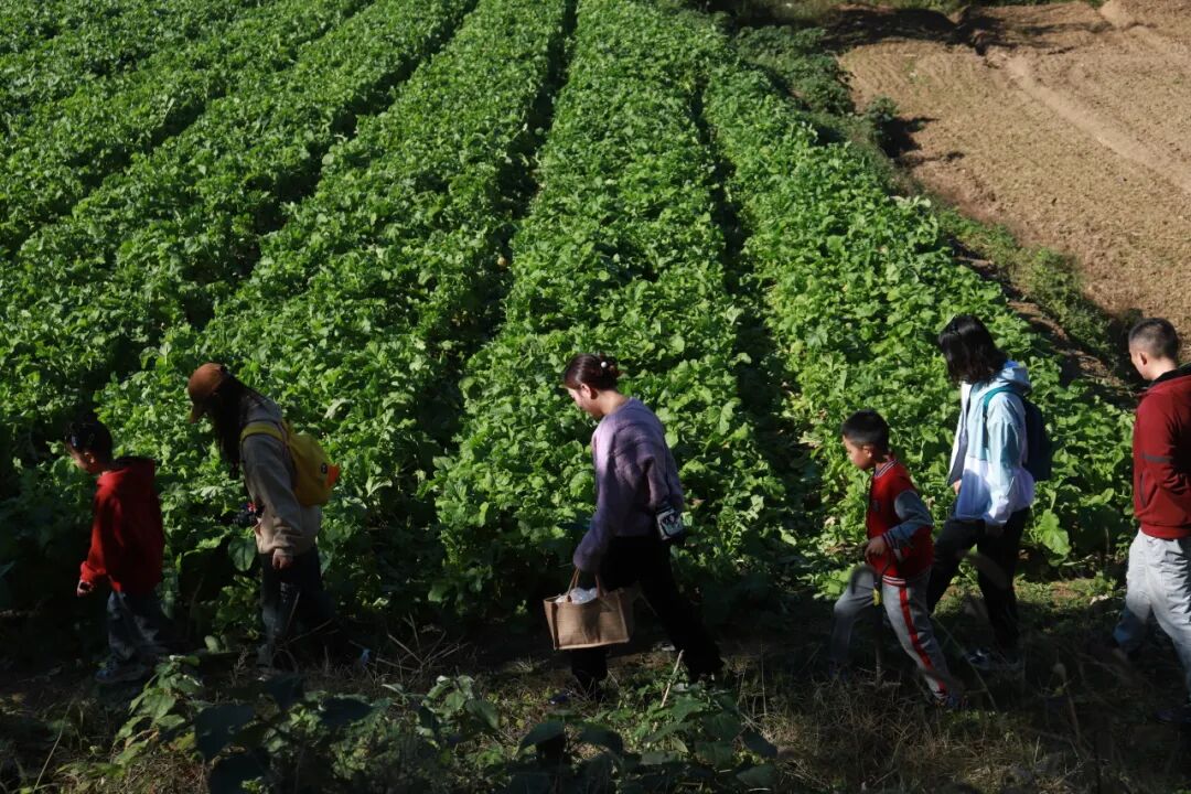茶山栗海 · 山野拾秋|国庆假期亭城文旅双民宿邀你进山入野