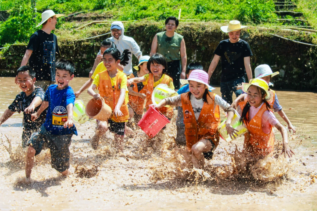 茶山栗海 · 山野拾秋|国庆假期亭城文旅双民宿邀你进山入野