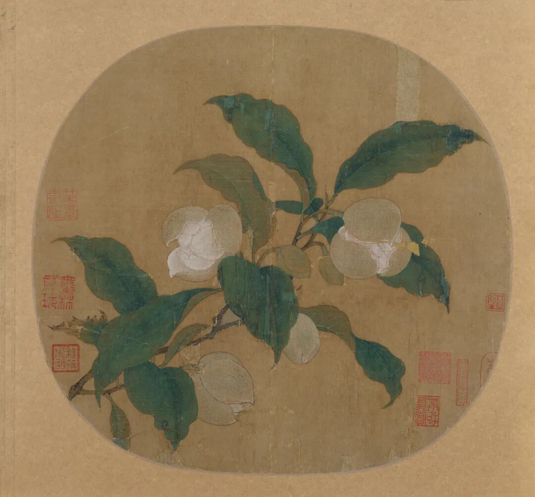 一周展讯|再别莫兰迪大展,回望朱德群与石虎