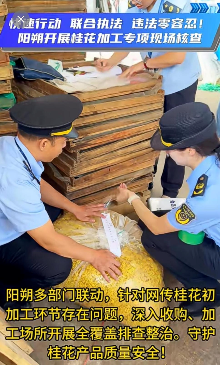 中青评论:硫磺熏制桂花顶风作案,监管要跑在风险前面