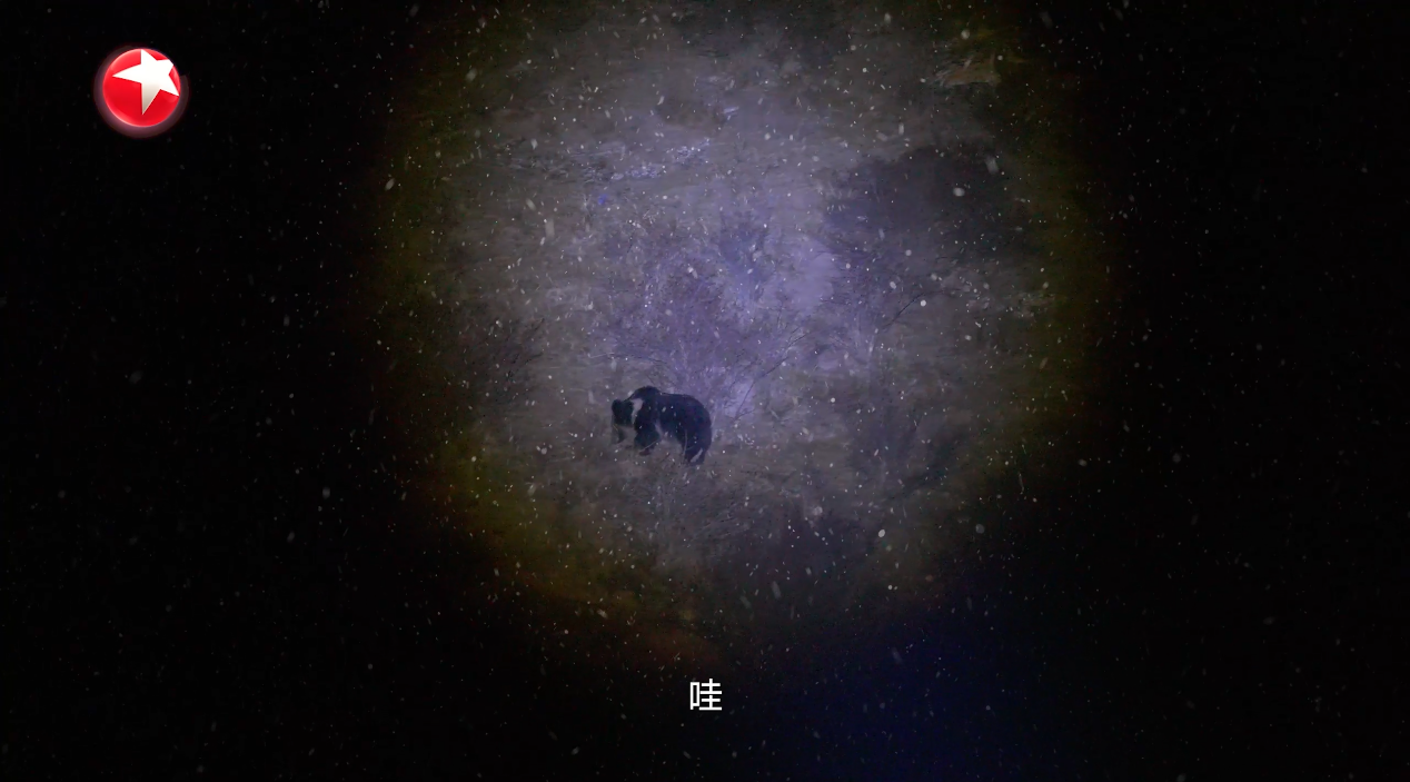 《一路前行》第三季，胡歌陈龙将直面人兽冲突与环保落地难题