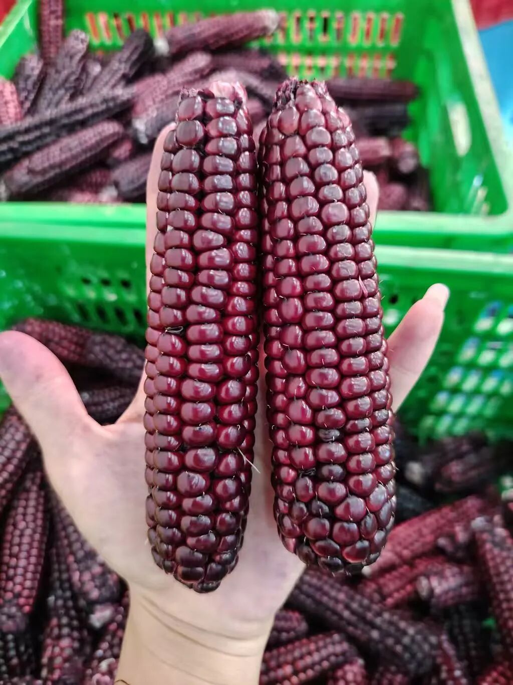 29家西双版纳企业带来超百种特色农产品,来上海松江一站式买齐