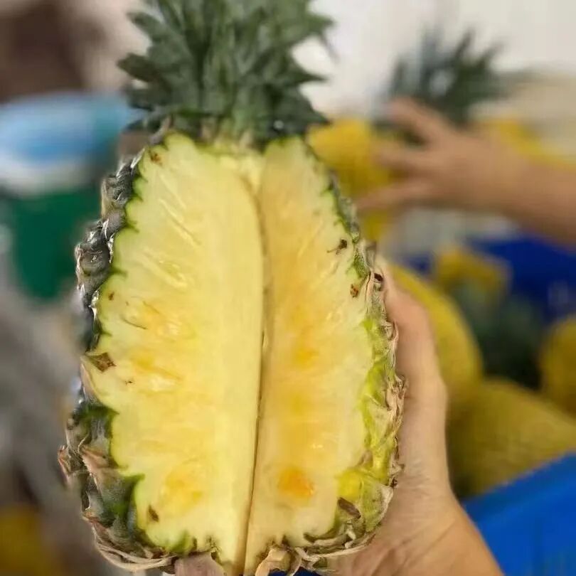 29家西双版纳企业带来超百种特色农产品,来上海松江一站式买齐