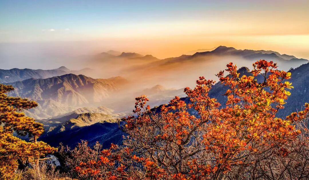 从大别山麓到黄浦江畔，上海·六安文旅嘉年华之“秋有成”专场即将启幕