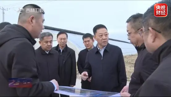 媒体曝光扶贫惠农设施农业大棚长期荒废,吉林省省长赴现场督导