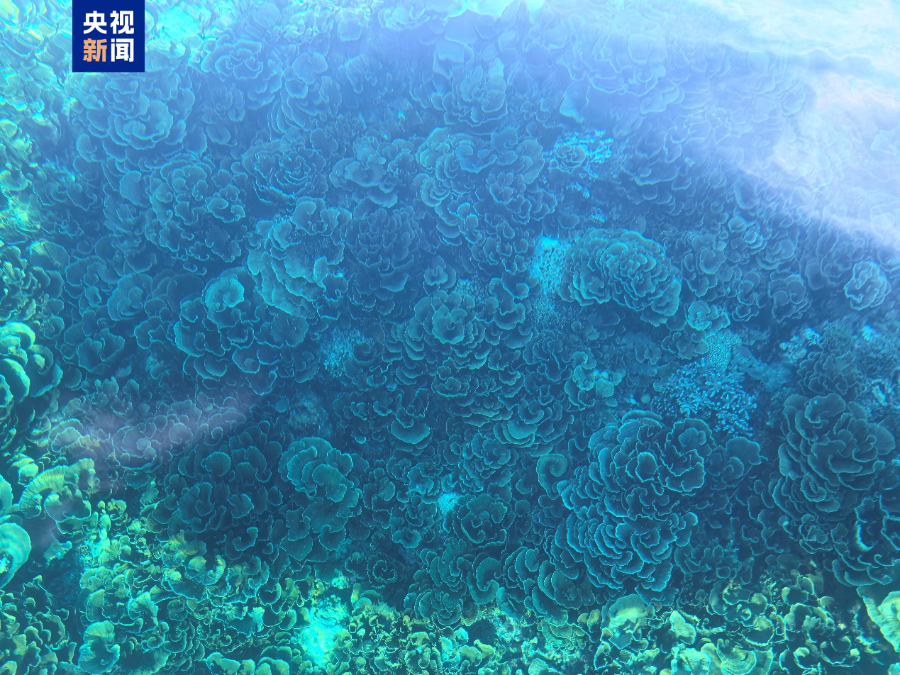 菲律宾非法“坐滩”船只周边海域出现大量垃圾,中国海警组织打捞