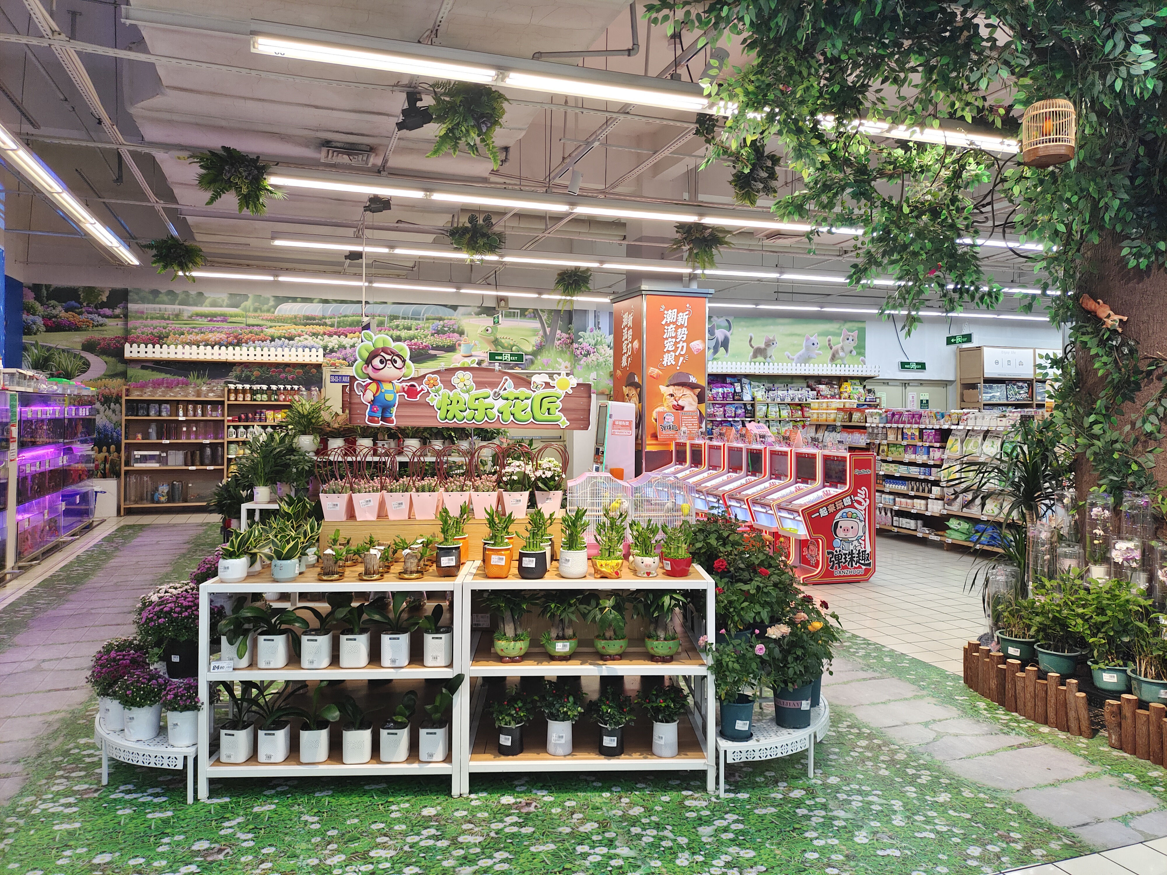 大润发多地推进门店调改升级，继续加速货与场双维全面升级