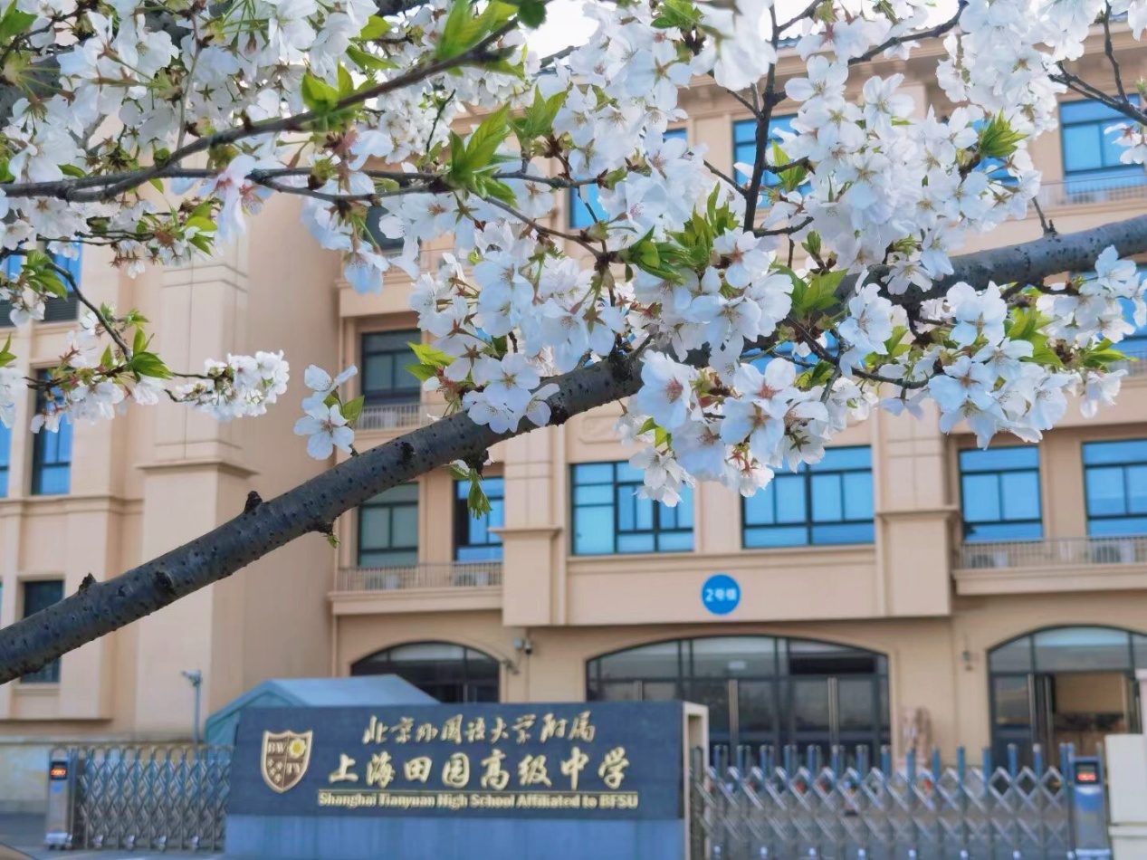 颛桥:一座智造新城的向新之路