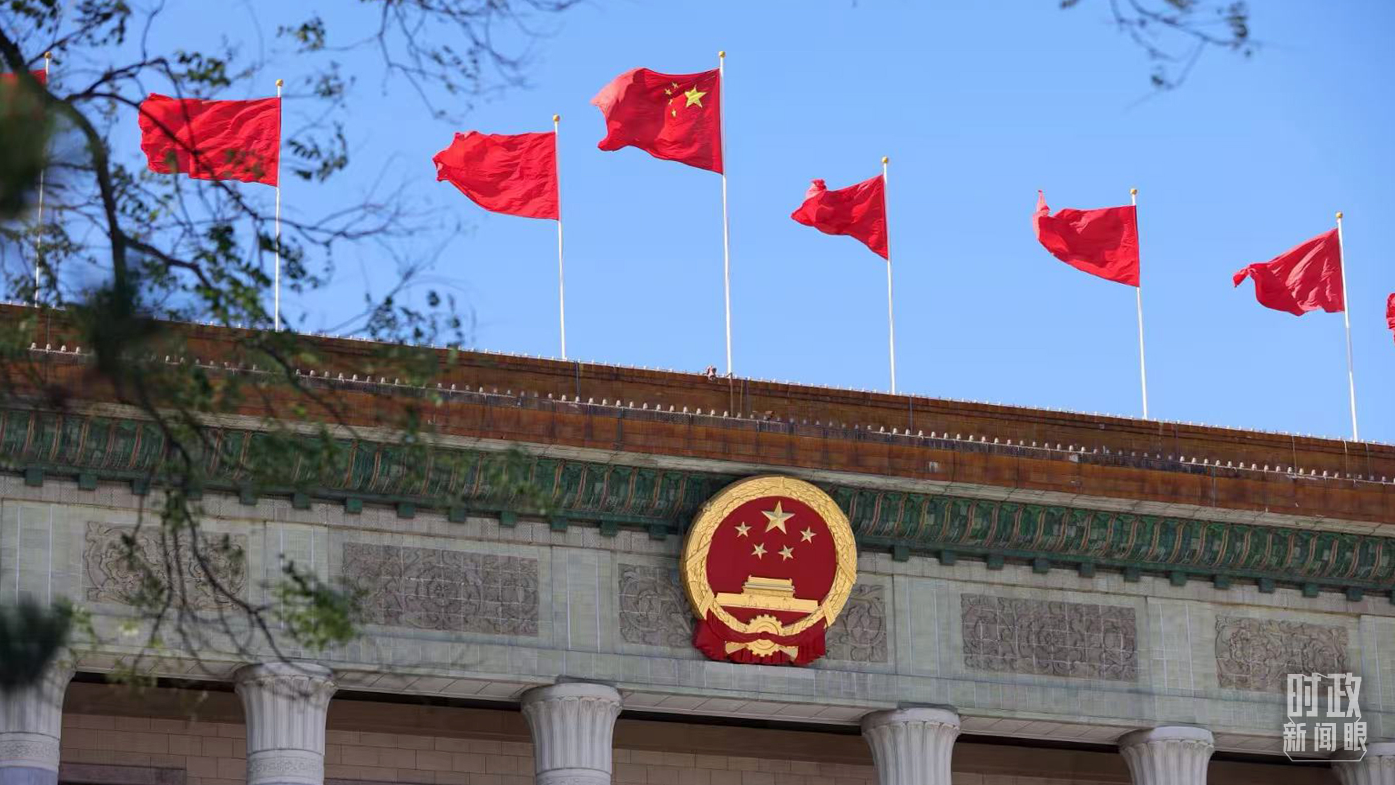 持之以恒推进全面从严治党,这次全会作出哪些重要部署?