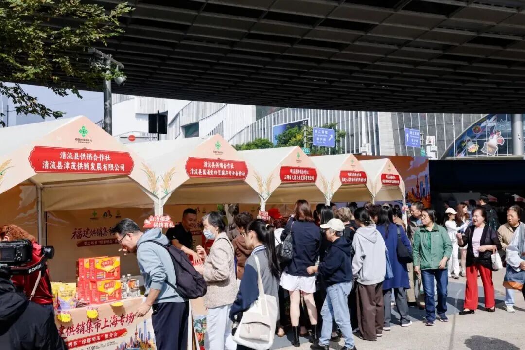 “福建供销集市”上海专场暨三明市“绿都明品”推介活动启幕