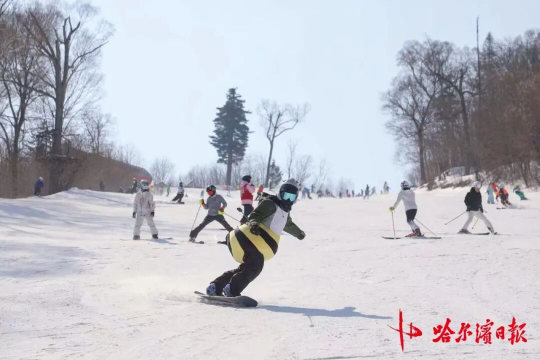 这个冰雪季,哈尔滨准备好了