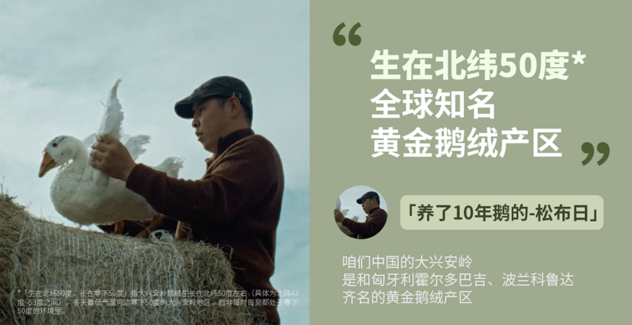 溯源大兴安岭鹅绒:森马让更多人看见中国好品质
