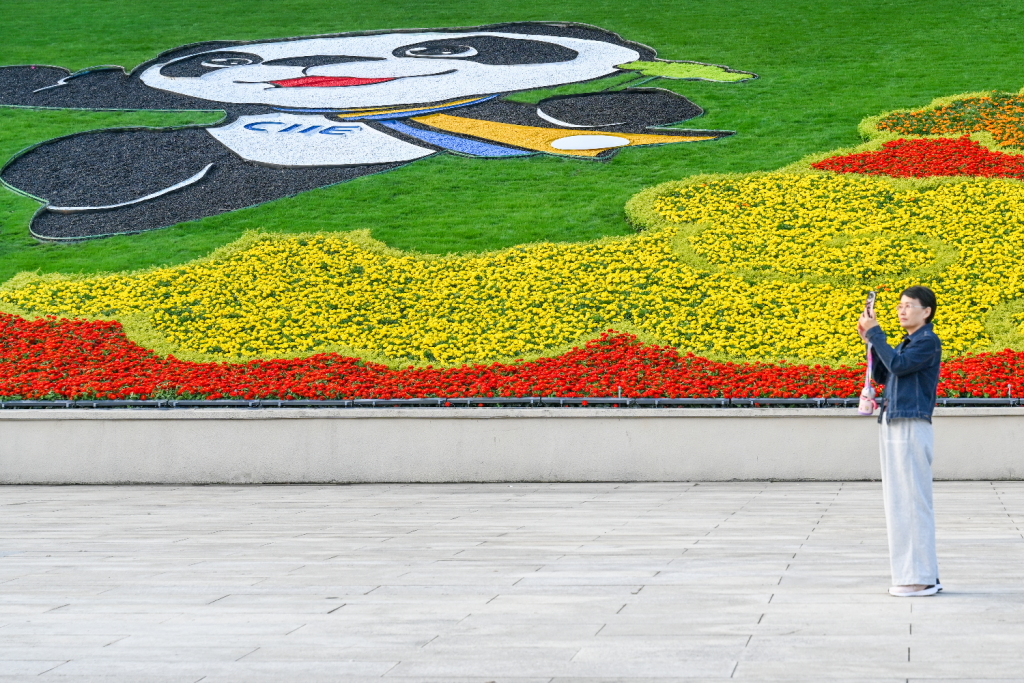 进博直击|场馆景观装饰:80万盆花卉让“四叶草”绿意更浓