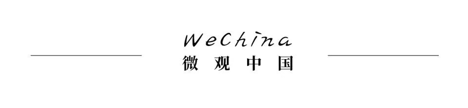 Steam帝国的玩家与游戏