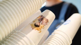 合肥技校老師賣(mài)杯子，一年賺2億