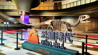 港！香港这个展览展品全部来自崇州